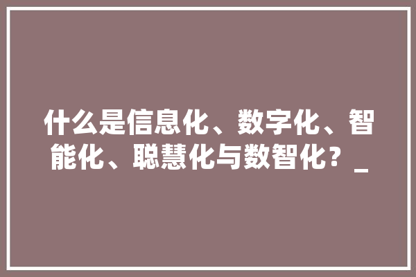 什么是信息化、数字化、智能化、聪慧化与数智化？_聪明_技巧 AI快讯