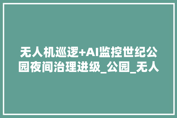 无人机巡逻+AI监控世纪公园夜间治理进级_公园_无人机