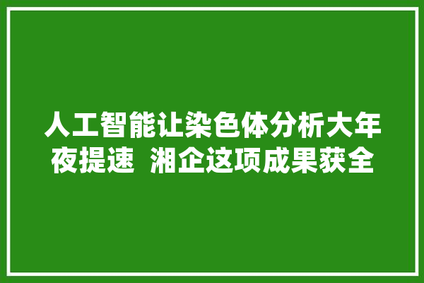 人工智能让染色体分析大年夜提速  湘企这项成果获全国一等奖_染色体_人工智能