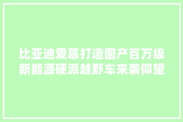 比亚迪爱慕打造国产百万级新能源硬派越野车来袭仰望U8亮点多_技巧_新能源
