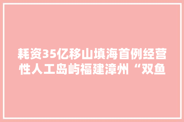 耗资35亿移山填海首例经营性人工岛屿福建漳州“双鱼岛”_双鱼_项目 智能写作