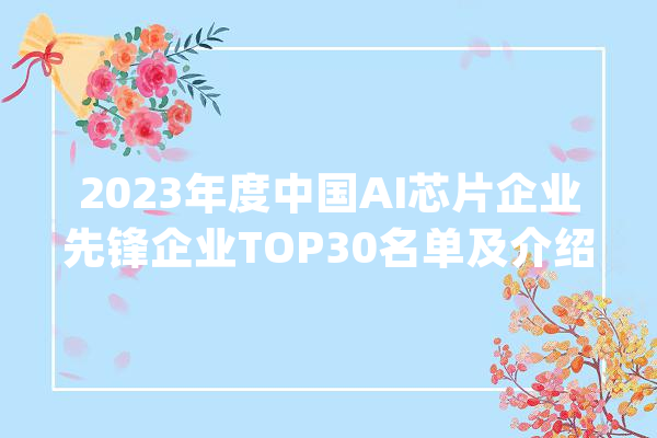 2023年度中国AI芯片企业先锋企业TOP30名单及介绍_芯片_智能 智能问答