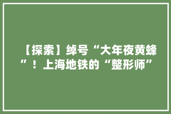 【探索】绰号“大年夜黄蜂”！上海地铁的“整形师”来了_钢轨_在线