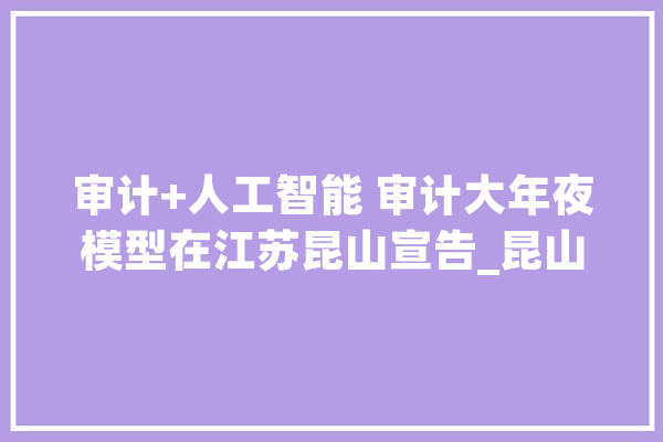 审计+人工智能 审计大年夜模型在江苏昆山宣告_昆山_书记