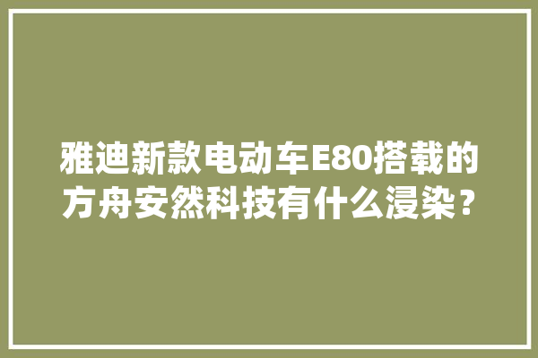 雅迪新款电动车E80搭载的方舟安然科技有什么浸染？_方舟_电动车