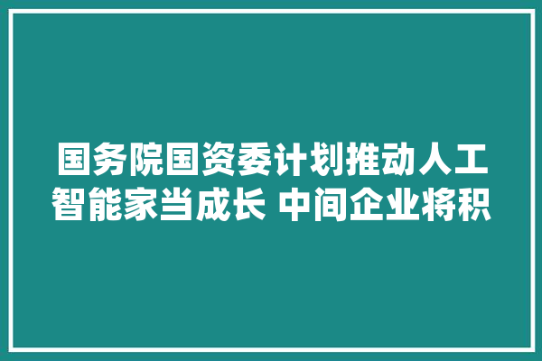 国务院国资委计划推动人工智能家当成长 中间企业将积极介入实施_家当_高质量 科技快讯