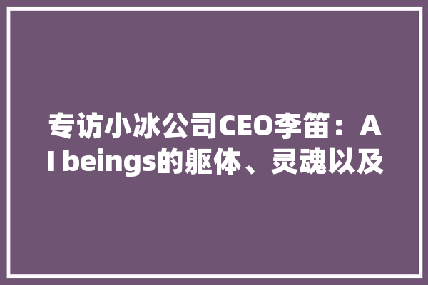 专访小冰公司CEO李笛：AI beings的躯体、灵魂以及商业化_冰岛_宇宙