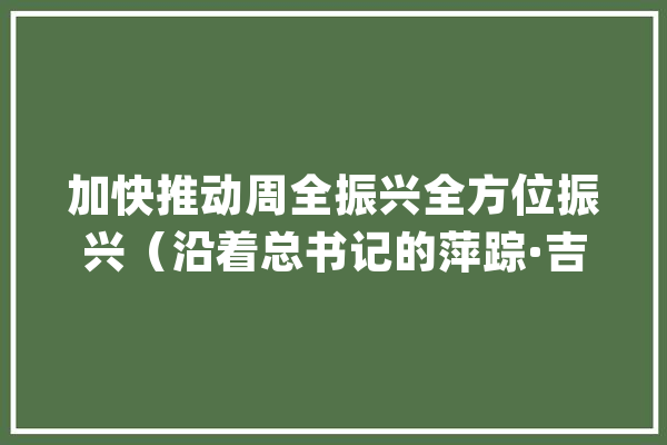 加快推动周全振兴全方位振兴（沿着总书记的萍踪·吉林篇）_吉林_书记