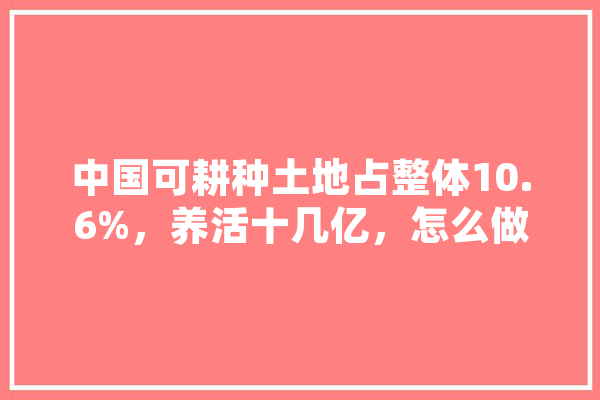 中国可耕种土地占整体10.6%，养活十几亿，怎么做到的,人工智能占领地球 计算机