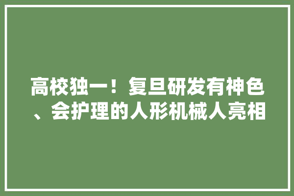 高校独一！复旦研发有神色、会护理的人形机械人亮相世界人工智能大年夜会_机械人_团队 计算机