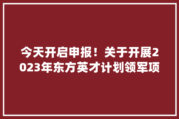 今天开启申报！关于开展2023年东方英才计划领军项目（原上海领军人才）选拔工作的通知_人才_领军
