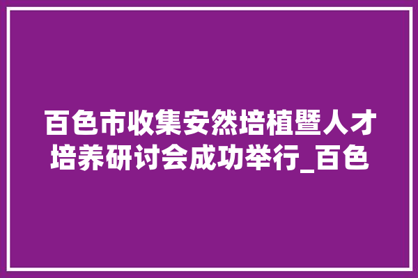 百色市收集安然培植暨人才培养研讨会成功举行_百色市_收集平安 科技快讯
