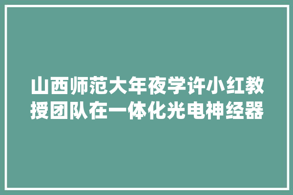 山西师范大年夜学许小红教授团队在一体化光电神经器件研究取得重要进展_突触_电场