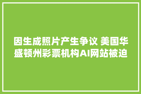 因生成照片产生争议 美国华盛顿州彩票机构AI网站被迫下线_华盛顿州_人工智能 文字写作
