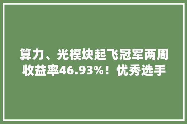 算力、光模块起飞冠军两周收益率46.93%！优秀选手：人工智能或走出519行情第二波上攻！_选手_人工智能