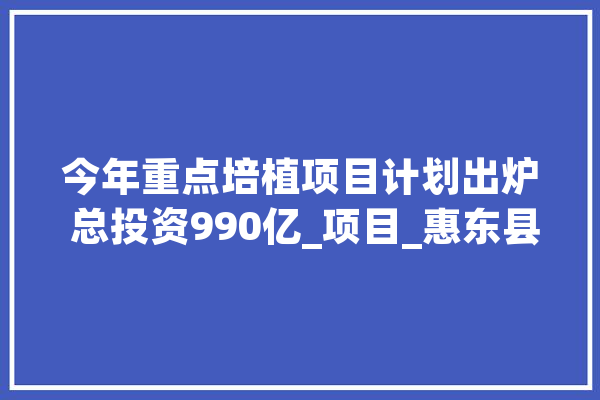 今年重点培植项目计划出炉 总投资990亿_项目_惠东县 文字写作