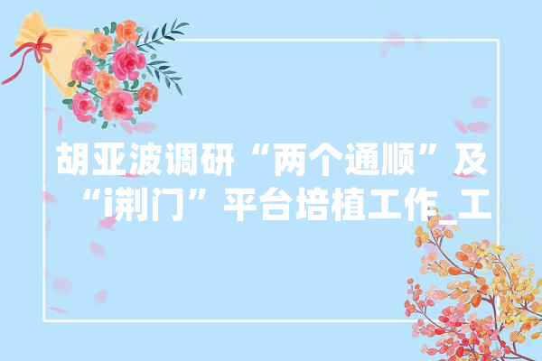 胡亚波调研“两个通顺”及“i荆门”平台培植工作_工作_荆门 智能问答