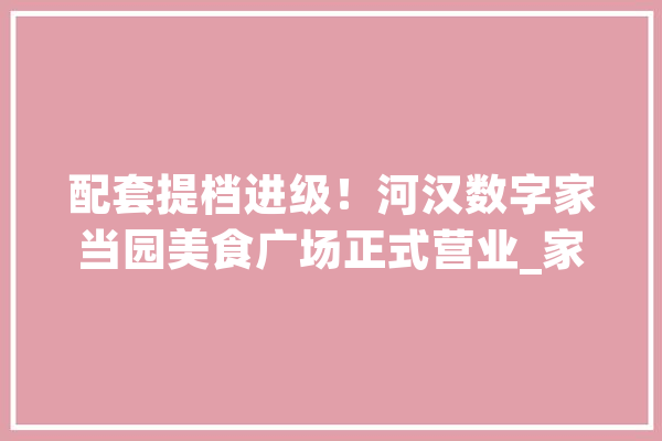 配套提档进级！河汉数字家当园美食广场正式营业_家当_园区