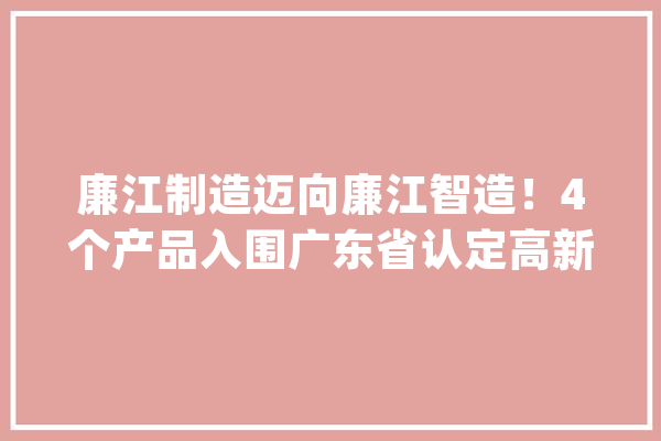 廉江制造迈向廉江智造！4个产品入围广东省认定高新技能产品名单_家当_廉江市