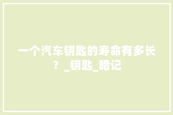 一个汽车钥匙的寿命有多长？_钥匙_暗记