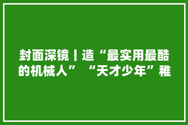 封面深镜丨造“最实用最酷的机械人” “天才少年”稚晖君重出江湖_机械人_人形