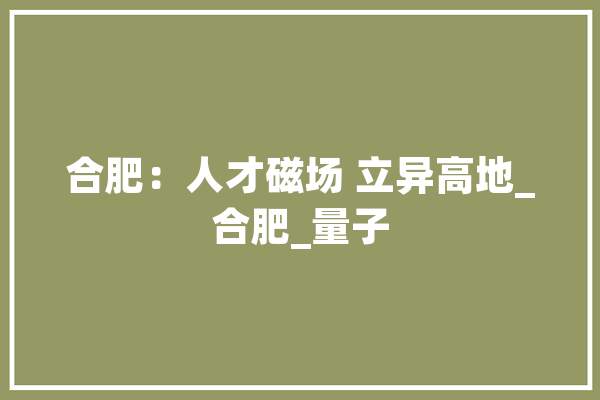 合肥：人才磁场 立异高地_合肥_量子 文字写作