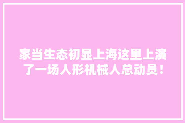 家当生态初显上海这里上演了一场人形机械人总动员！_机械人_人形 AI快讯