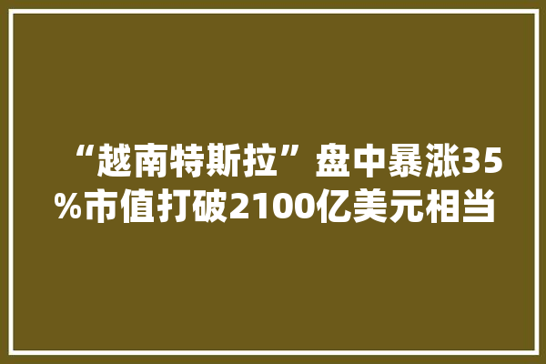 “越南特斯拉”盘中暴涨35%市值打破2100亿美元相当于两个高盛_越南_市值