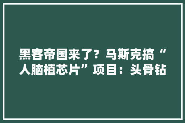 黑客帝国来了？马斯克搞“人脑植芯片”项目：头骨钻孔插电极线_年夜脑_电极 绘影字幕