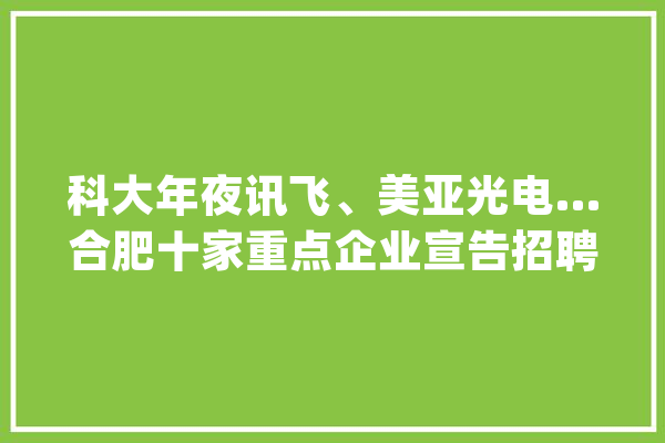 科大年夜讯飞、美亚光电…合肥十家重点企业宣告招聘_工程师_相干 AI快讯