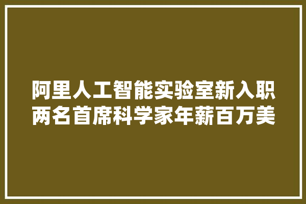 阿里人工智能实验室新入职两名首席科学家年薪百万美元_视觉_阿里 文字写作