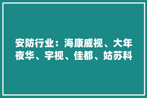 安防行业：海康威视、大年夜华、宇视、佳都、姑苏科达等六家最新员工薪酬与人效_年夜华_科技