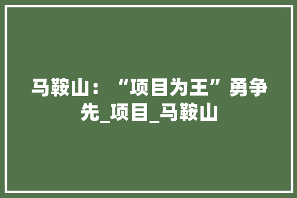 马鞍山：“项目为王”勇争先_项目_马鞍山