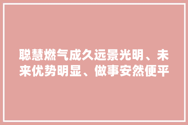 聪慧燃气成久远景光明、未来优势明显、做事安然便平易近_燃气_聪明