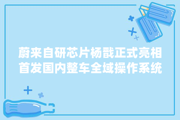 蔚来自研芯片杨戬正式亮相首发国内整车全域操作系统SkyOS_互联_操作体系