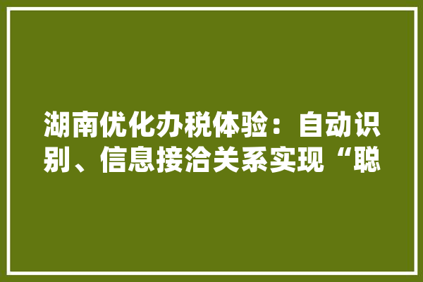 湖南优化办税体验：自动识别、信息接洽关系实现“聪慧办税”_办税_聪明