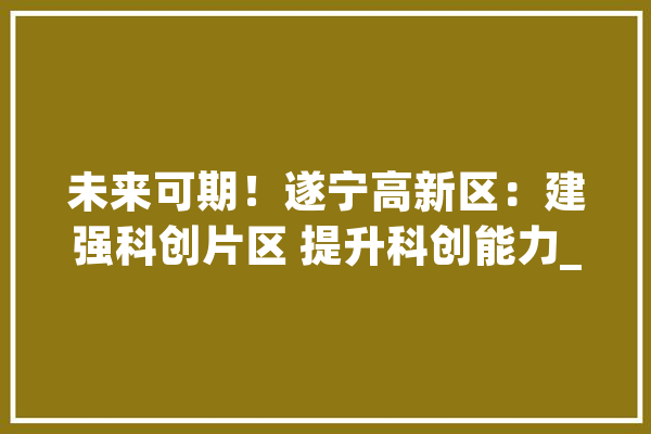未来可期！遂宁高新区：建强科创片区 提升科创能力_遂宁_高新区 文字写作