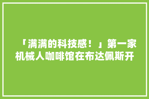 「满满的科技感！」第一家机械人咖啡馆在布达佩斯开设了啦！_布达佩斯_客人 云服务