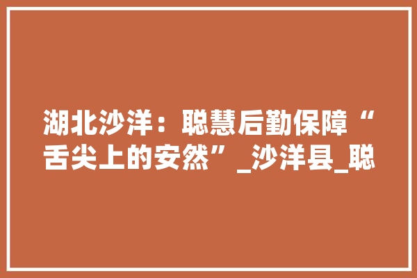 湖北沙洋：聪慧后勤保障“舌尖上的安然”_沙洋县_聪明 云服务