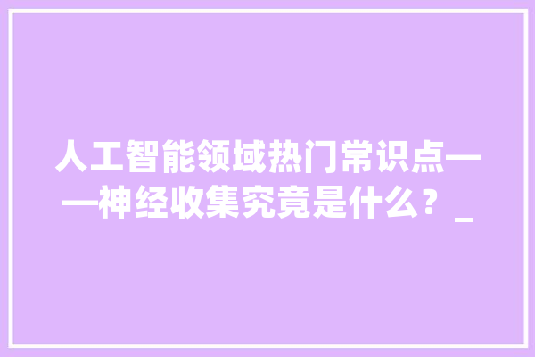 人工智能领域热门常识点——神经收集究竟是什么？_神经收集_递归