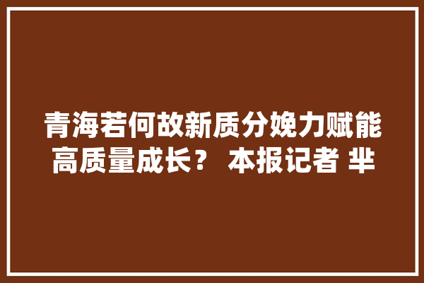 青海若何故新质分娩力赋能高质量成长？ 本报记者 芈 峤 秦 睿_家当_青海 科技快讯