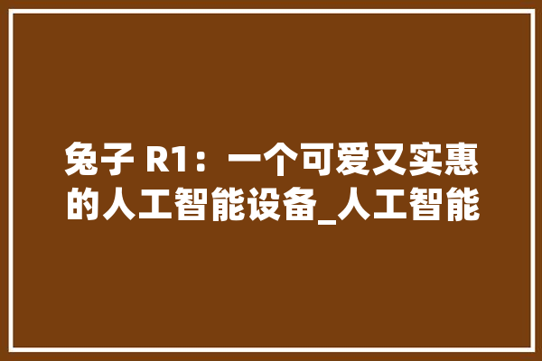 兔子 R1：一个可爱又实惠的人工智能设备_人工智能_装备 云服务