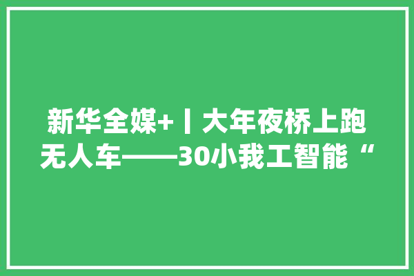 新华全媒+丨大年夜桥上跑无人车——30小我工智能“揭榜挂帅”场景拜访见闻_人工智能_上海市