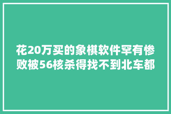 花20万买的象棋软件罕有惨败被56核杀得找不到北车都被吃掉落了_阿尔法_杀得