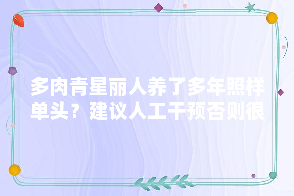 多肉青星丽人养了多年照样单头？建议人工干预否则很难变成多头_侧芽_星美