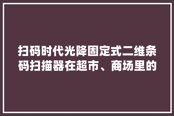 扫码时代光降固定式二维条码扫描器在超市、商场里的应用_终端_条码