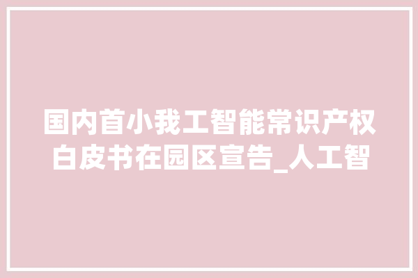 国内首小我工智能常识产权白皮书在园区宣告_人工智能_常识产权