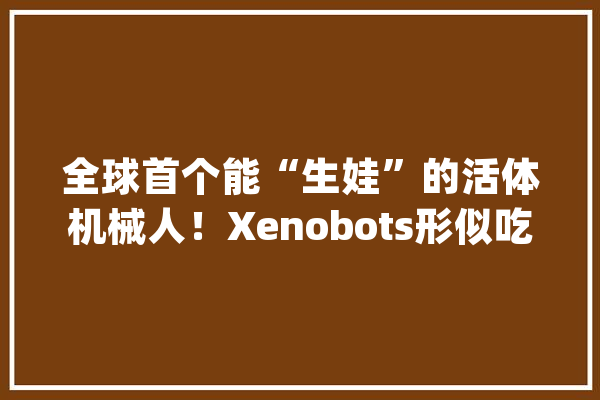 全球首个能“生娃”的活体机械人！Xenobots形似吃豆人靠一张嘴繁衍_细胞_活体 科技快讯
