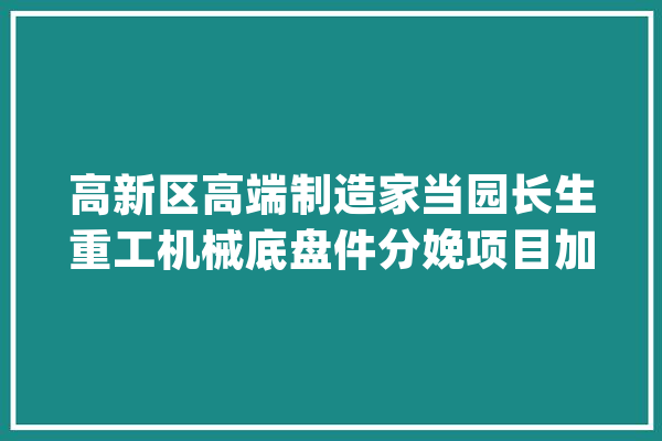 高新区高端制造家当园长生重工机械底盘件分娩项目加速培植中_家当_项目 AI快讯