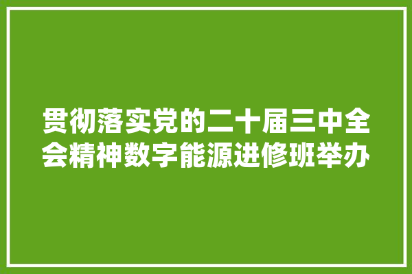 贯彻落实党的二十届三中全会精神数字能源进修班举办_家当_能源